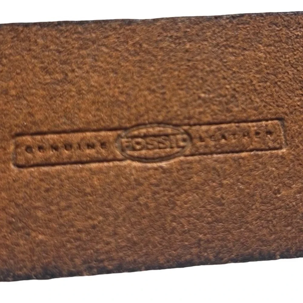 Fossil overall length